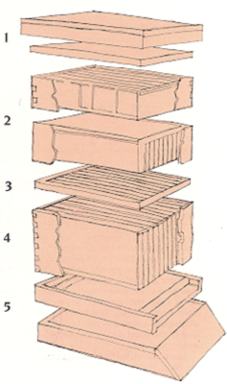 Bee Hive Box Structure