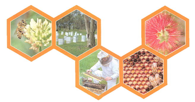 World of Honey images